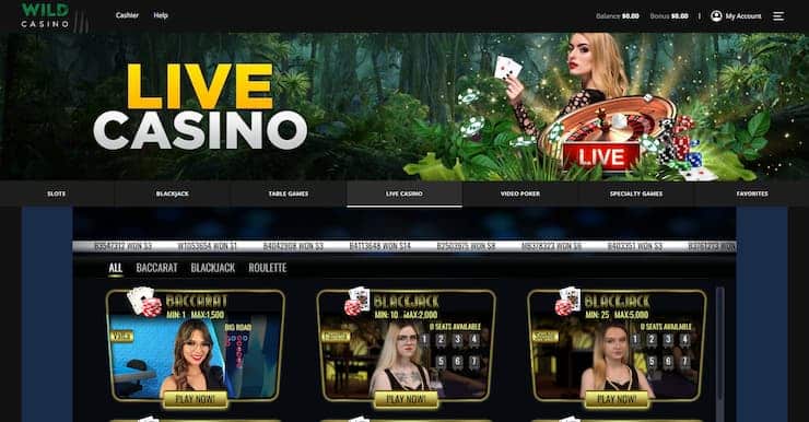 Bitcoin live Baccarat - Wild Casino