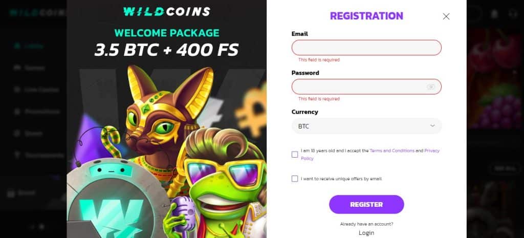 Claim a Wildcoins Promotional Code_step 2