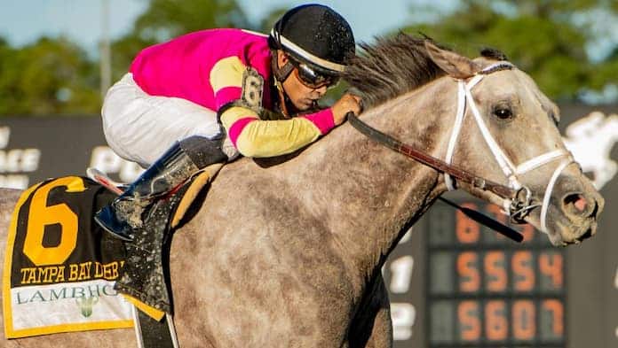 The Latest Belmont Stakes Odds [cur_year] - Compare the Best Odds