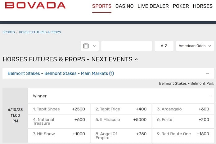 Bovada Belmont Stakes