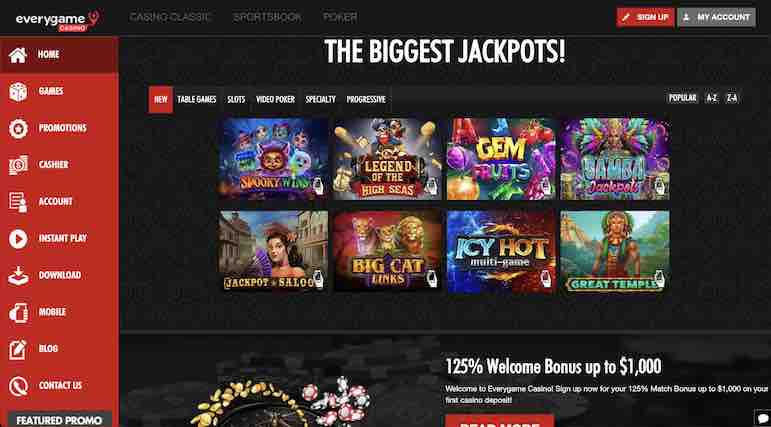 A screenshot of the Everygame Casino homepage