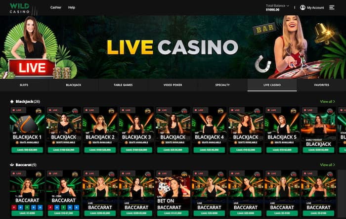 wild casino live baccarat selection