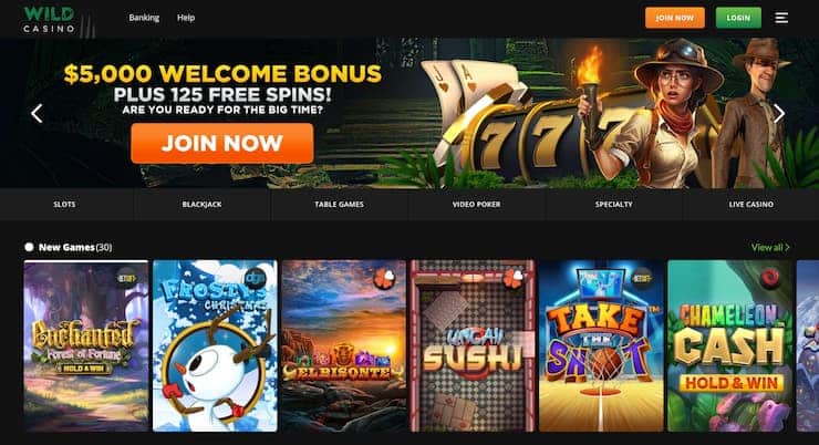 Wild Casino homepage - The best blackjack casinos