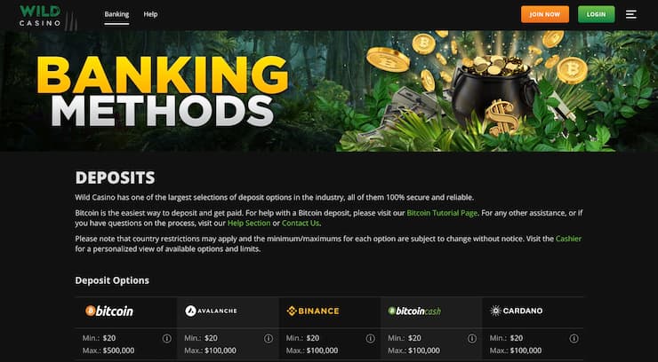 Wild Casino deposits page