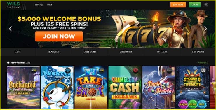 the best fish games gambling casinos - Wild Casino homepage