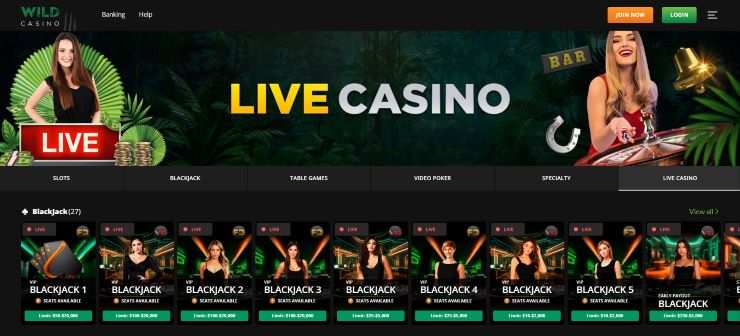 best live dealer blackjack casinos in the USA - Wild Casino live casino page