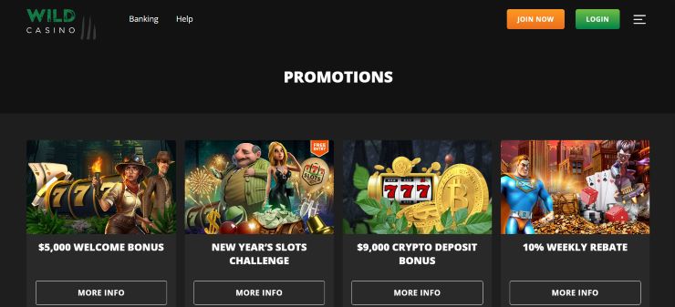 Wild Casino Promotions and Welcome Offer