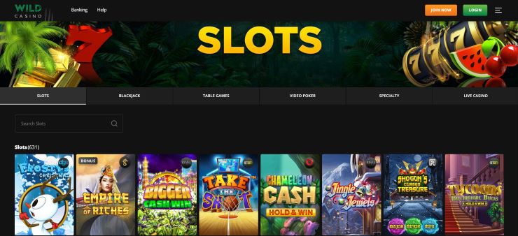 Wild Casino Slots section