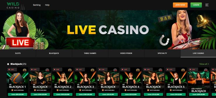 Wild Casino Live Casino Dealer Games